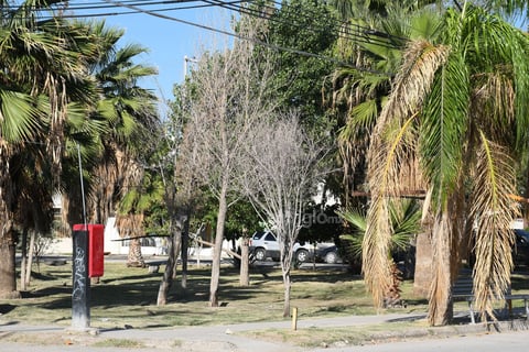 Áreas verdes