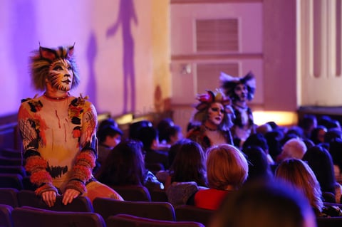 El Teatro Ricardo Castro se convirtió en el punto de encuentro de la tribu de los gatos ‘Jélicos.