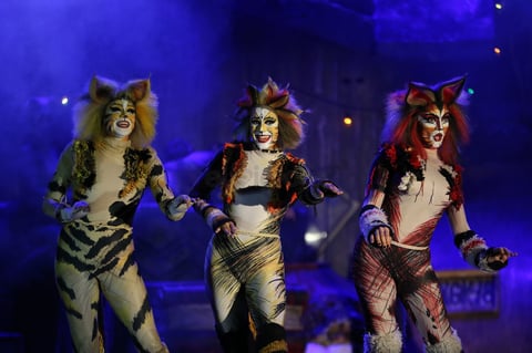Tan atrapantes que en ratos hacían olvidar que eran humanos, que se trataba del elenco del musical ‘Cats’ que había regresado a Durango como parte de su gira nacional.