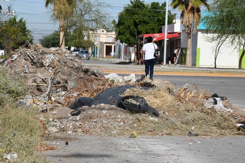 Montones. En el recorrido que se hizo se observaron al menos 10 montones de basura, escombro y ramas, incluso en calles muy transitadas.