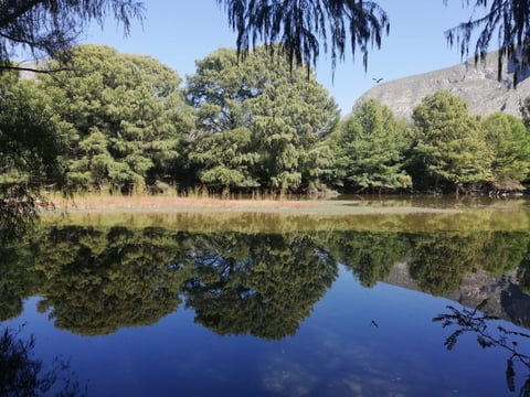 De los cerca de 300 humedales Ramsar que hay en México, solo cinco están en el desierto, uno de ellos es el Cañón de Fernández.