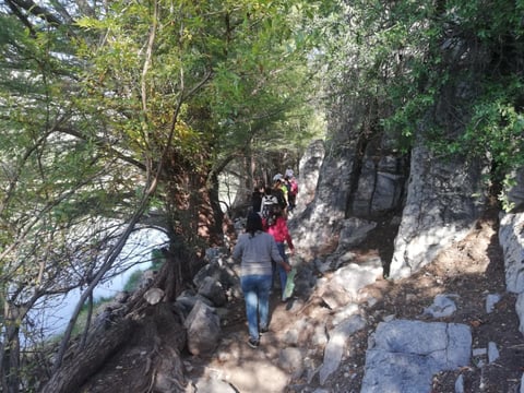 Una visita al Parque Estatal Cañón de Fernández permite disfrutar de tres ecosistemas en una sola área: desierto, bosque y humedal. Conocer este lugar de La Laguna, además de regalar postales increíbles, puede despertar el amor por la naturaleza y la conciencia sobre la importancia de su preservación.