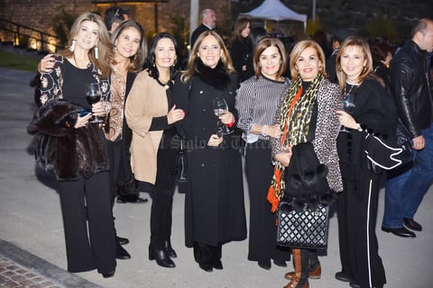 Karina, Pilar, Claudia, Elvira, Magdalena, Cony y Brenda