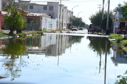 Drenaje. Además de los desechos, las personas tienen problemas con la red de drenaje, misma que despide aguas negras y malos olores.