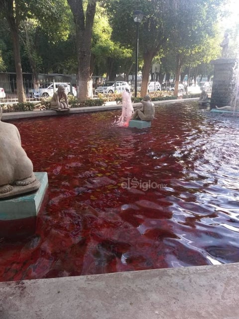 El agua amaneció de color rojizo.