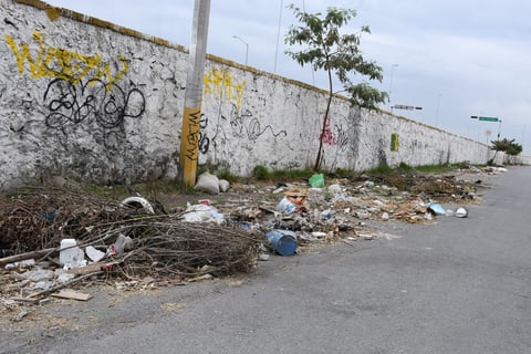 Malos olores. En algunos puntos, los desperdicios despiden olores desagradables pese a que radican algunas familias en los alrededores.