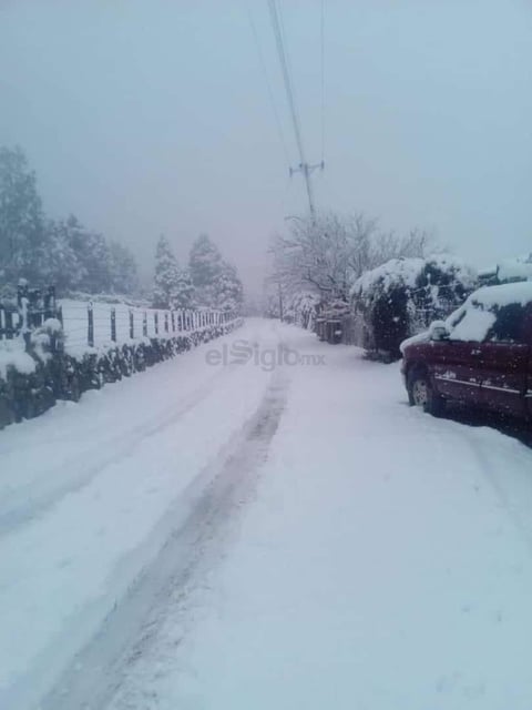 En tanto que en Otáez, las comunidades del Bajio de Vacas y Pielagos se tiñeron de blanco.
