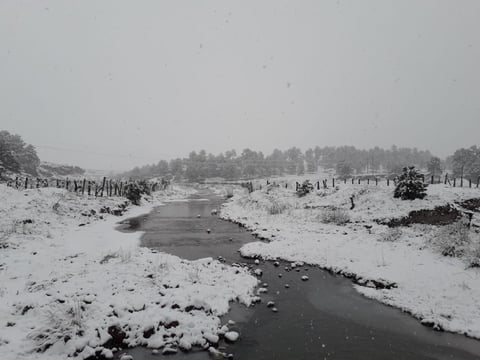 Municipios de Durango reciben el año nuevo con nevadas