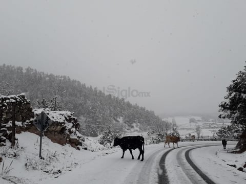 Municipios de Durango reciben el año nuevo con nevadas