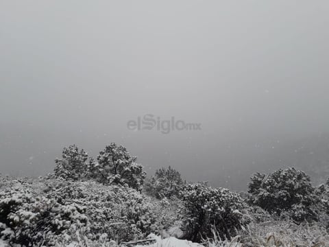 Municipios de Durango reciben el año nuevo con nevadas