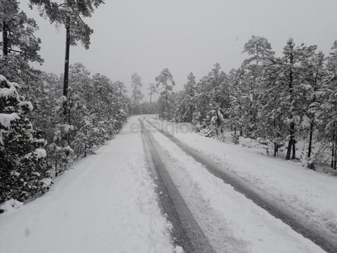 Municipios de Durango reciben el año nuevo con nevadas