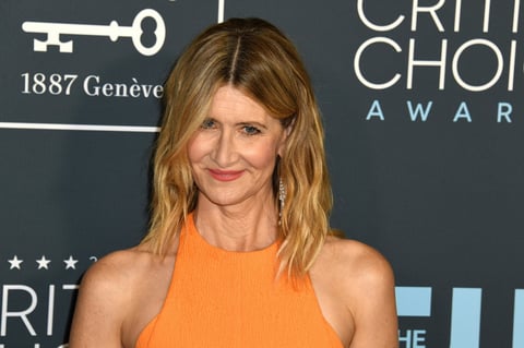 Critics Choice Awards 2020 