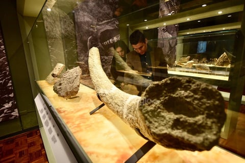 El recinto ubicado dentro de el Bosque Venustiano Carranza celebra su 43 aniversario
