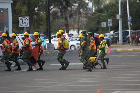 Bomberos en conjunto con personal del Ejército Mexicano, atendieron el siniestro.