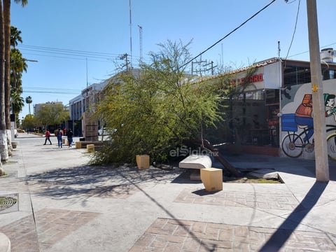 Hubo otros daños en el Paseo Morelos.