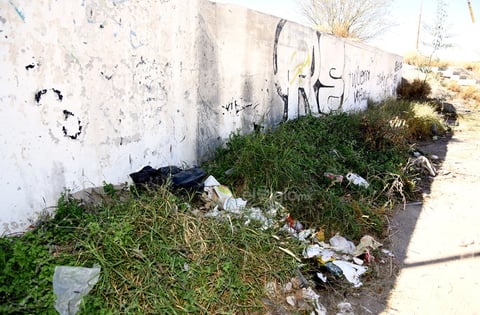 Grafiti, basura y maleza en la constante en varios puntos de la colonia, por lo que los vecinos hacen el llamado para que se realicen brigadas de limpieza y de ser posible que se apliquen sanciones.