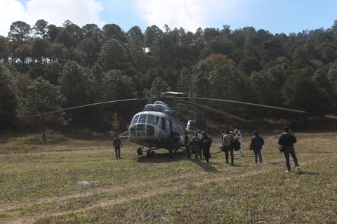 Destruyen 2 mdp de amapola en Durango