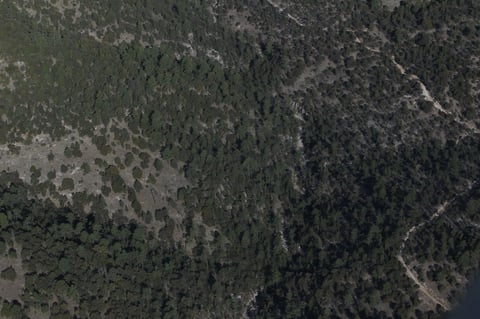 La ranchería más cercana se llama Las Casitas, y que a 300 metros se ubica otra localidad conocida como El Rancho.