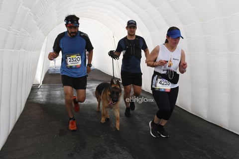 Maratón Lala 2020


 Maratón Lala 2020
