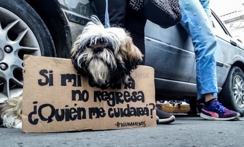 Feministas duranguenses marchan en Día Internacional de la Mujer