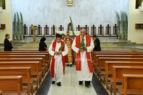 Semana santa domingo de ramos 


 Obispo Luis Martín barraza celebración de misa