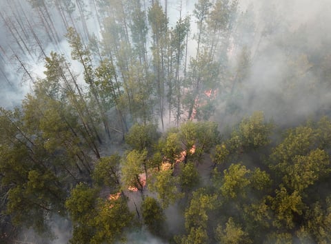 Bomberos y lluvia controlan incendios cerca de Chernóbil