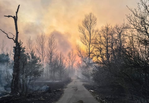 Bomberos y lluvia controlan incendios cerca de Chernóbil