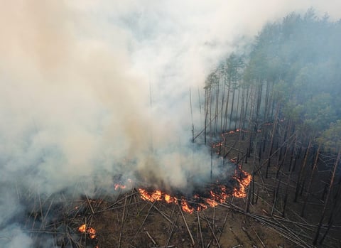 Bomberos y lluvia controlan incendios cerca de Chernóbil