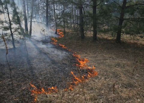 Bomberos y lluvia controlan incendios cerca de Chernóbil