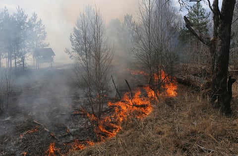 Bomberos y lluvia controlan incendios cerca de Chernóbil