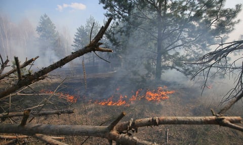 Bomberos y lluvia controlan incendios cerca de Chernóbil