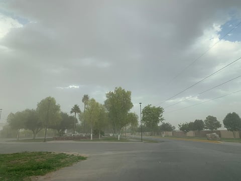 Intensas ráfagas de viento impactan a La Laguna