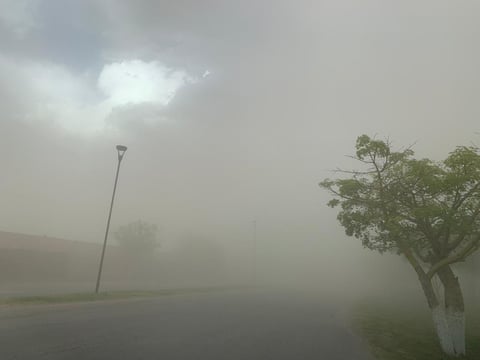 Intensas ráfagas de viento impactan a La Laguna
