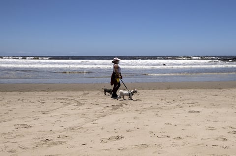 Reabren playas en  California EUA