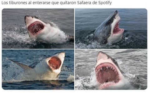 Safaera Bad Bunny