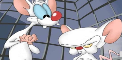 Pinky y cerebro