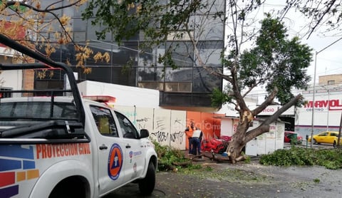 La tolvanera seguida de lluvia que se registró la mañana de este miércoles en la Comarca Lagunera dejó varios estragos en Torreón, sin embargo, ningún hecho de gravedad.