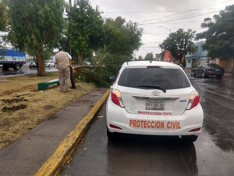 Fueron elementos de Protección Civil, bomberos y autoridades municipales quienes atendieron los llamados de auxilio.