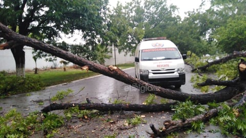 Algunos de los reportes que causaron mayores estragos fue la caída de un árbol sobre una camioneta que se encontraba estacionada en la avenida Matamoros y calle Zaragoza, así como una lona a punto de caer en el crucero que une al bulevar Diagonal Reforma e Independencia.