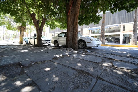 Avenida Morelos, sin 'piso parejo' rumbo al poniente.
Banquetas de la avenida Morelos lucen daños y desniveles, principalmente de la Valdés Carrillo hasta la calle Múzquiz, en el tramo poniente.