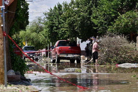 Derrumbe de árboles. Inundaciones, árboles caídos, derrumbe de fincas, la suspensión de la energía eléctrica, fueron los estragos que la tromba causó en San Pedro.