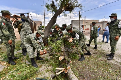 Apoyan. La Secretaría de la Defensa Nacional (Sedena) también se unió a los trabajos de retiro de árboles y apoyo a los sampetrinos por el caos que originó el fenómeno natural en la cabecera municipal.