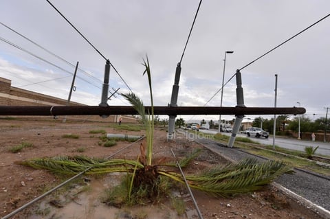 Fuerte chubasco sorprende a la región lagunera