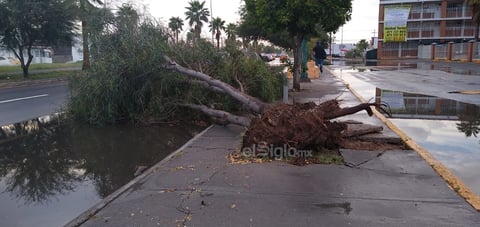Fuerte chubasco sorprende a la región lagunera