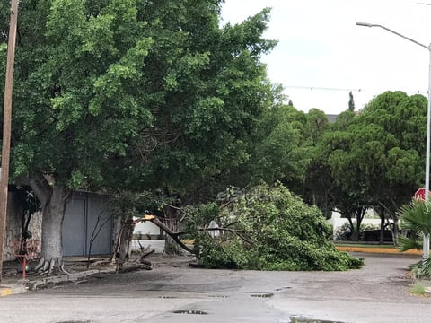 Fuerte chubasco sorprende a la región lagunera