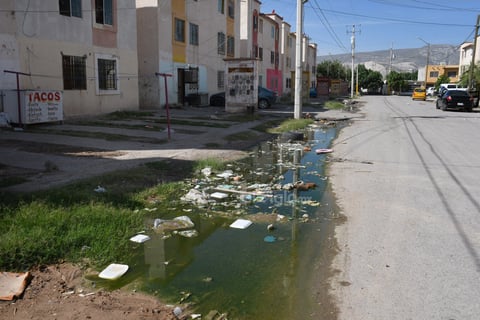 Lagunas verdes. Los bordes de las banquetas se pierden por el agua de color verde estancada de los drenajes taponeados de basura.