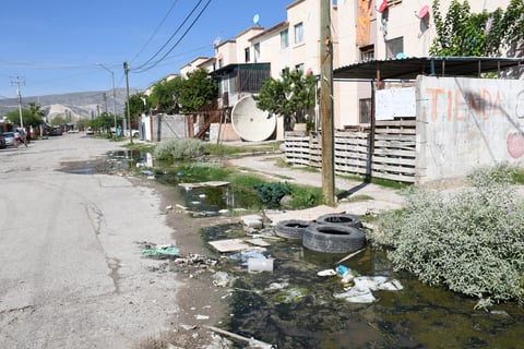 Plagas. Las aguas verdes estancadas en las vías facilitan la proliferación del mosquito transmisor del dengue, zika y chikungunya.