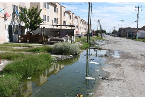 Mala calidad. El pavimento del sector habitacional también se encuentra en mal estado. Las inundaciones y el paso del tiempo han generado grandes baches y grietas que podrían dañar los autos o causar un accidente.