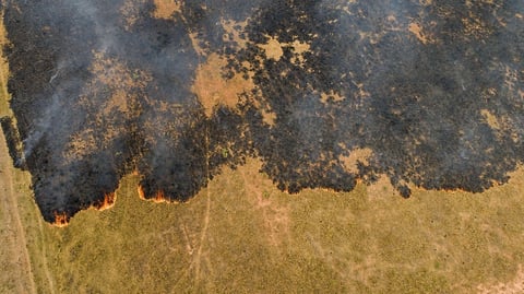 Incendios consumen la Amazonía brasileña