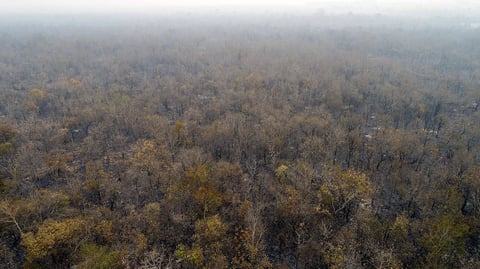Incendios consumen la Amazonía brasileña